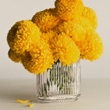 Bernadotte Oval Vase