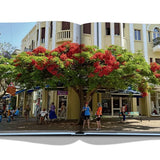 ASSOULINE - TEL AVIV